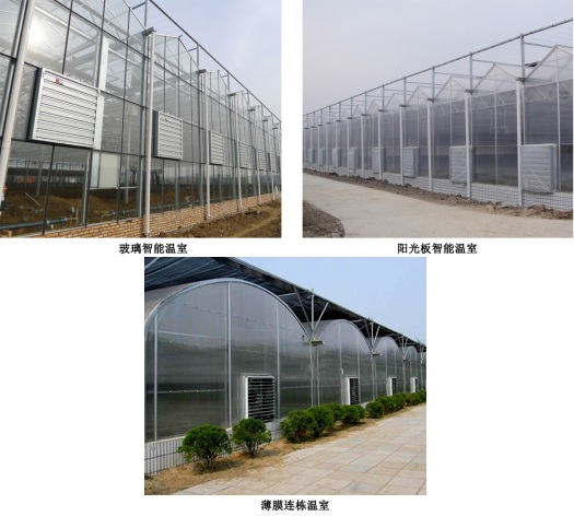 玻璃智能溫室、陽光板智能溫室、薄膜連棟溫室